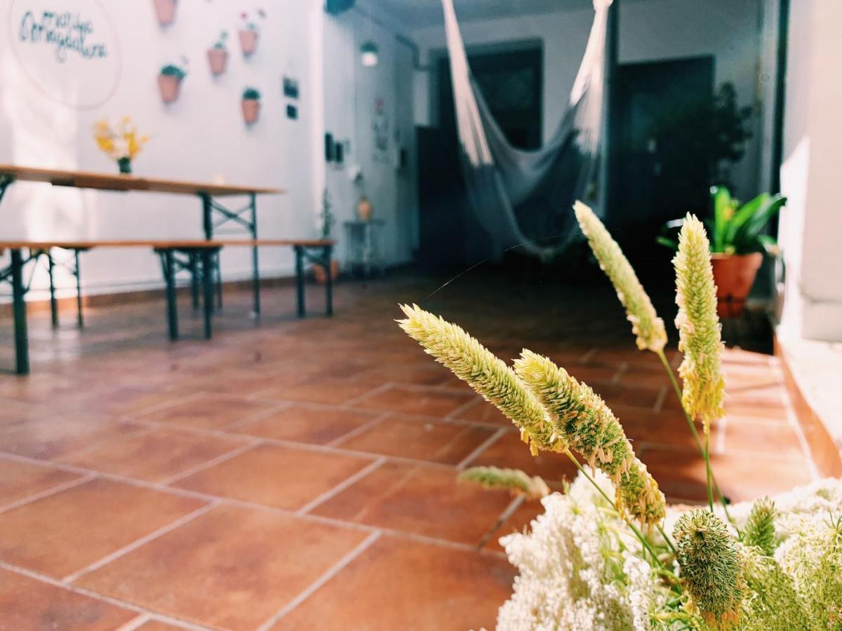 Maria Magdalena - Room 6 Малага Екстер'єр фото